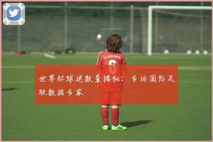 世界杯球迷数量揭秘：专访国际足联数据专家