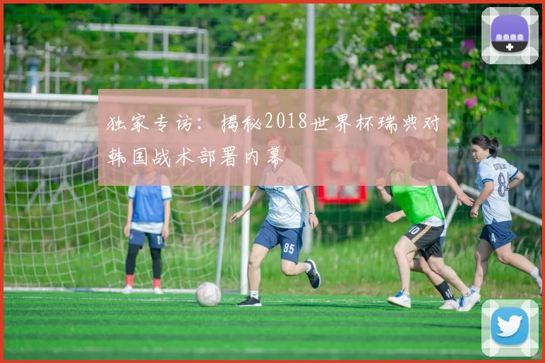 独家专访：揭秘2018世界杯瑞典对韩国战术部署内幕