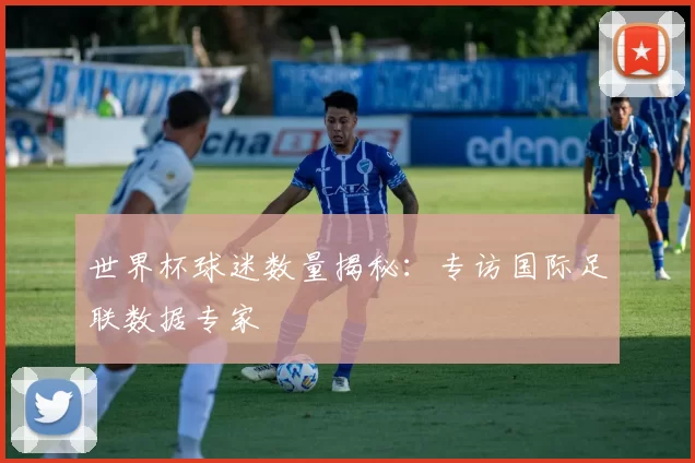 世界杯球迷数量揭秘：专访国际足联数据专家