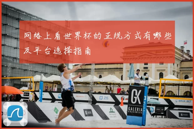 网络上看世界杯的正规方式有哪些及平台选择指南