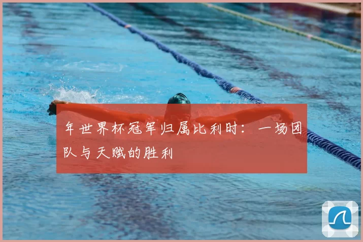 年世界杯冠军归属比利时:一场团队与天赋的胜利