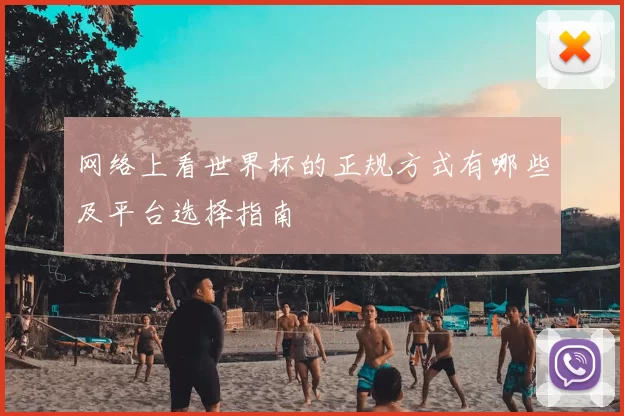 网络上看世界杯的正规方式有哪些及平台选择指南