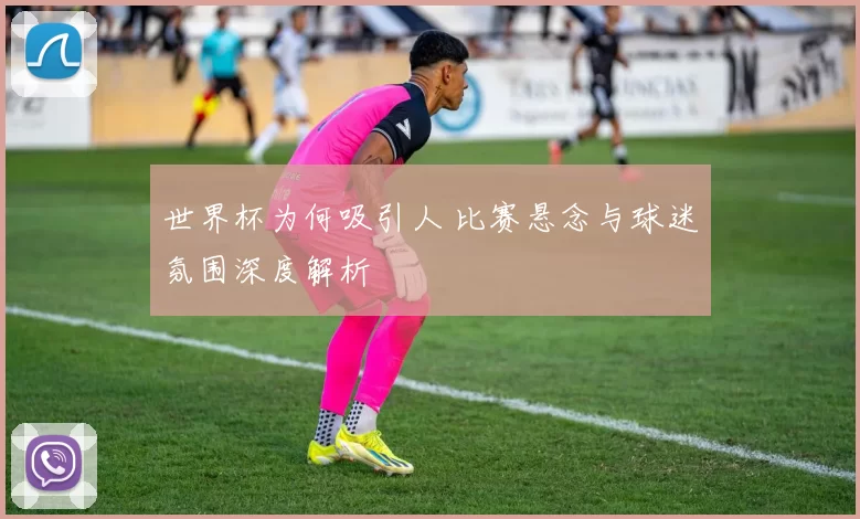 世界杯为何吸引人 比赛悬念与球迷氛围深度解析