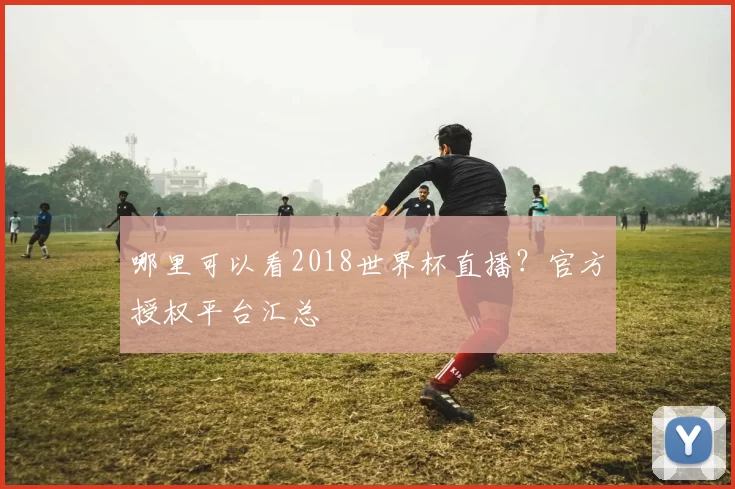 哪里可以看2018世界杯直播?官方授权平台汇总