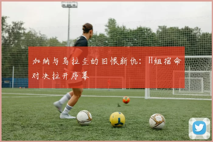 加纳与乌拉圭的旧恨新仇：H组宿命对决拉开序幕