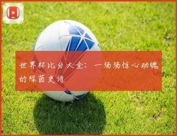 世界杯比分大全:一场场惊心动魄的绿茵史诗